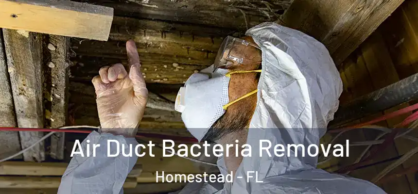 Air Duct Bacteria Removal Homestead - FL