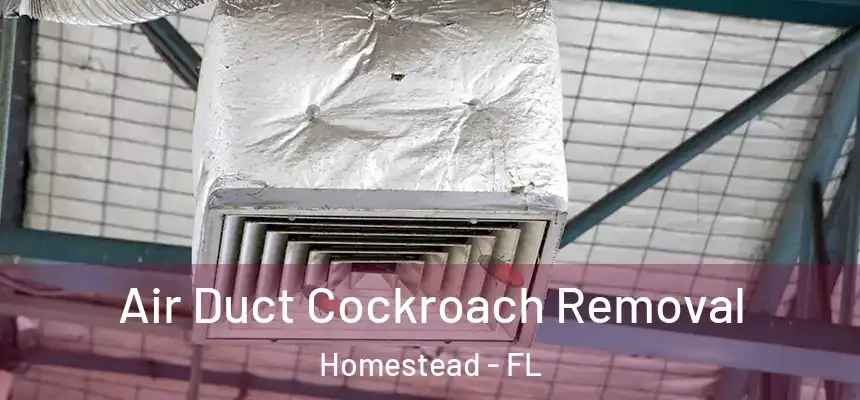  Air Duct Cockroach Removal Homestead - FL