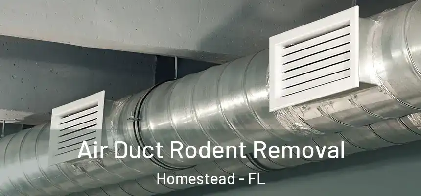Air Duct Rodent Removal Homestead - FL