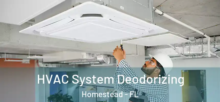  HVAC System Deodorizing Homestead - FL