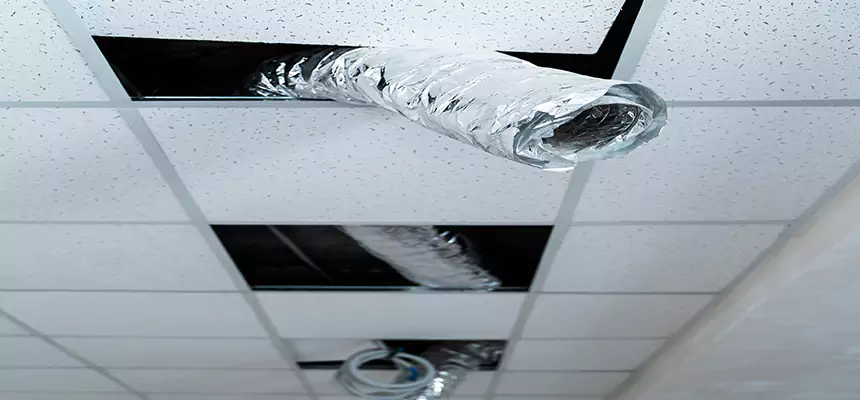 Our Air Duct Pet Hair Removal Services in Homestead, FL