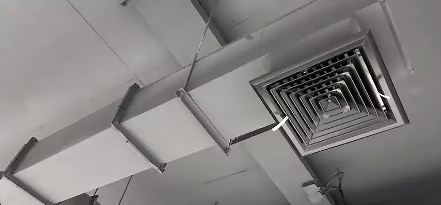 Our Rodent Droppings In Vents Services in Homestead, FL