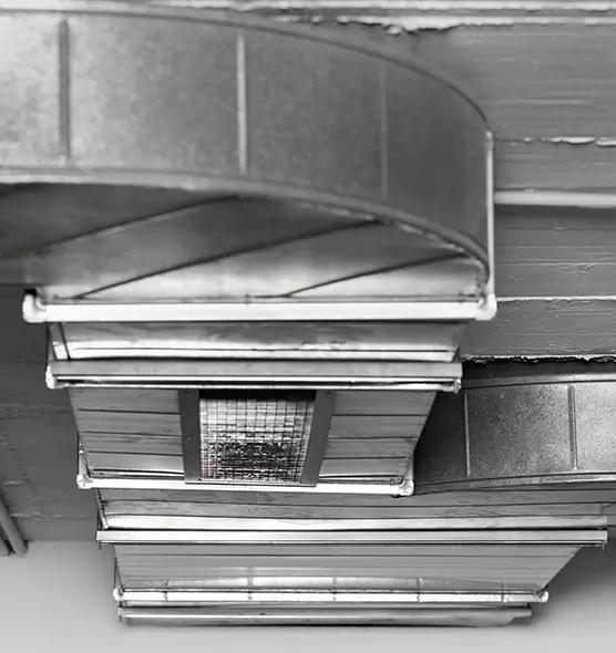 Professional Air Duct Pest Removal in Homestead, FL