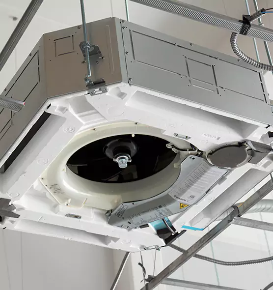 Professional Roof Vent Lint Removal Homestead, FL