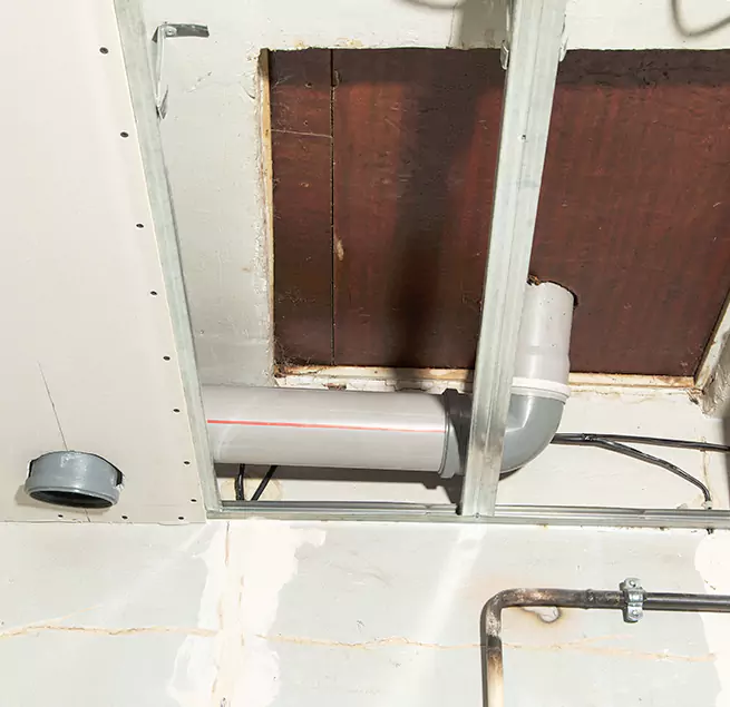 Why Homeowners & Businesses Trust Us in Homestead, FL?