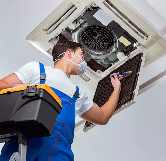 Why Homeowners & Businesses Trust Us in Homestead, FL