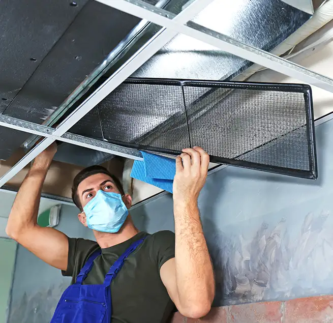 Why Homeowners & Businesses Trust Us in Homestead, FL?